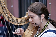 Img 227